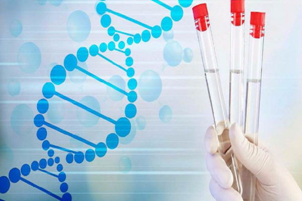 2026 格鲁吉亚三代试管全攻略：开启生育新希望