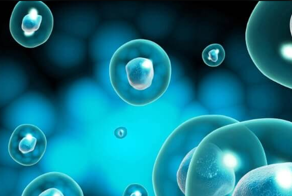 胚胎移植后胎停再孕：身体恢复与备孕全攻略