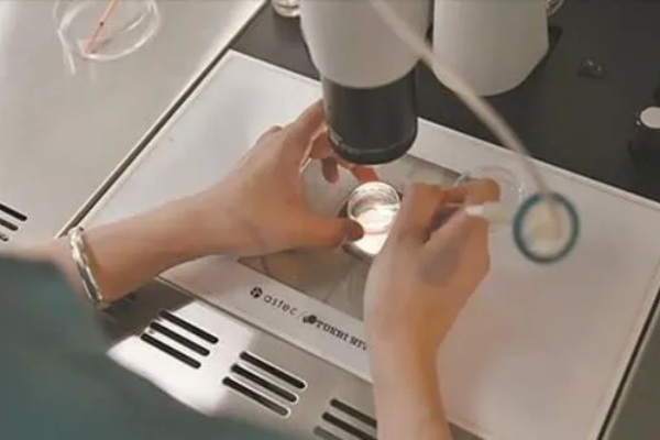 美国CCRH生殖中心：试管超长方案成功率影响因素的核心考量