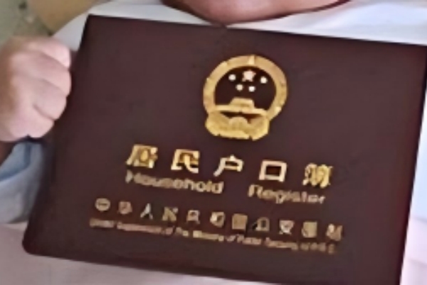 详解格鲁吉亚出生的试管宝宝如何顺利回国上户口