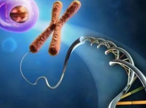 北京三代试管婴儿：男女双方协同提升成功率策略