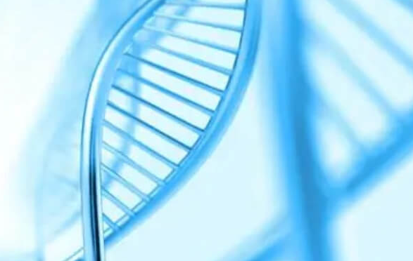 高龄产妇：科学备孕，为孕育保驾护航