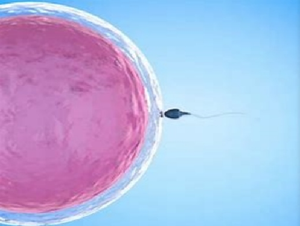 赴格鲁吉亚做试管婴儿，开启希望生育之旅