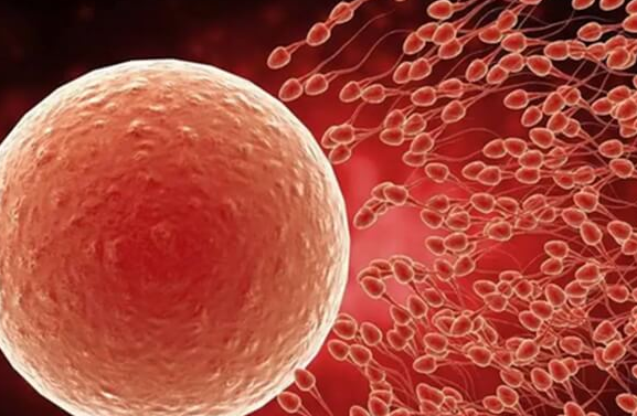 胚胎没过PGS筛查能不能用？这类胚胎需谨慎使用