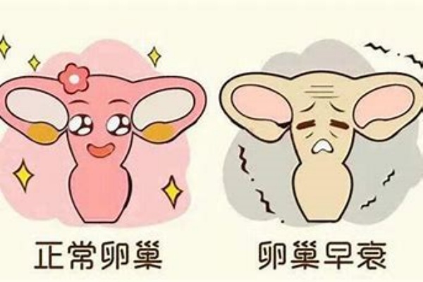 美国CCRH生殖中心：卵巢早衰患者试管婴儿着床难题与提升成功率的策略