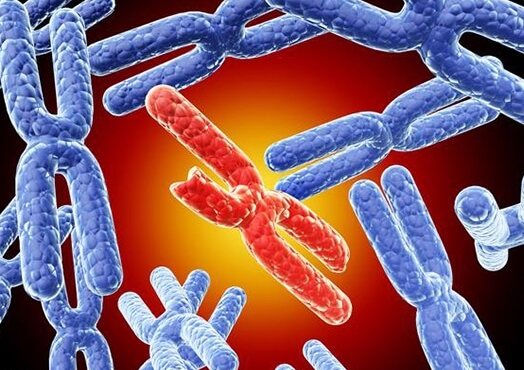 三代试管婴儿：染色体畸变夫妻的优生新选择