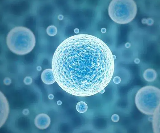 冷冻卵子适合哪些人提前知，癌症者、不孕症者均在其中