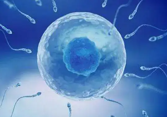 泰国三代试管婴儿的适用条件介绍