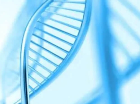 北京三代试管婴儿：优点显著，为家庭带来生育新希望