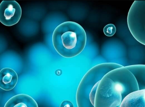 高龄试管婴儿成功率低有原因，卵子质量下降是关键