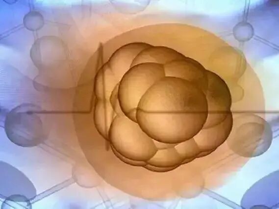 试管婴儿减胎的风险解析：概率与影响深度剖析