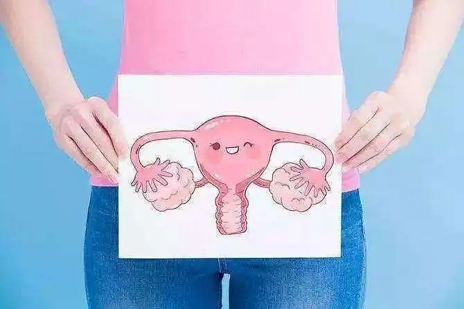 杭州试管婴儿医院：多囊卵巢女性试管成功率较高，卵子储备丰富成关键因素