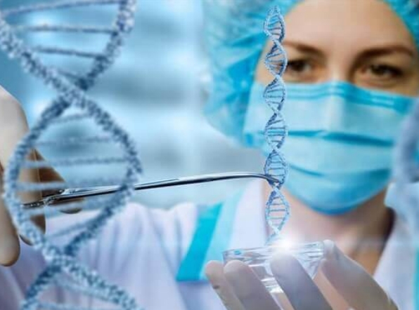 日本试管婴儿：高龄女性的“生育救星”与全球家庭的新选择