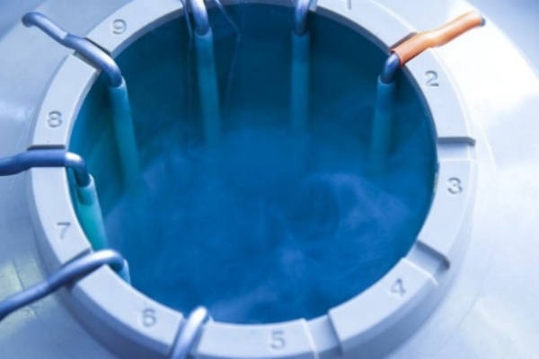 冻胚移植后第8天出血怎么办