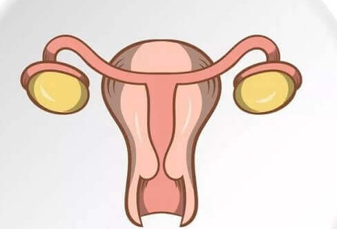 女性月经量少别忽视，这些病因需警惕！