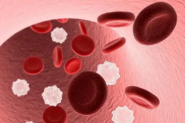 孕妇地中海贫血对胎儿的四大危害，不可不知！