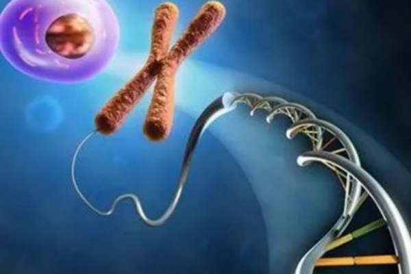 美国试管婴儿全流程解析：从准备到成功受孕