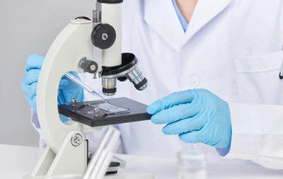 日本试管婴儿高成功率背后的优势与服务