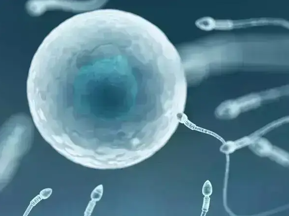 精子不液化：男性生育的隐形“杀手”