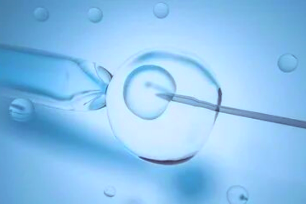 试管婴儿长方案：精准调控下的生育“黄金路径”