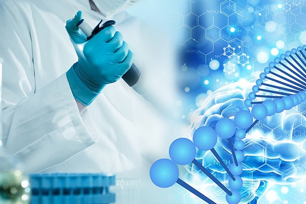 美国试管婴儿全流程解析：从签证到移植的每一步