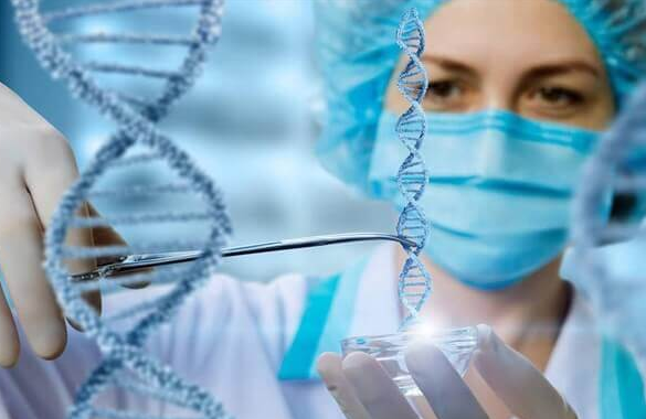 格鲁吉亚试管婴儿：个性化治疗方案的定制者