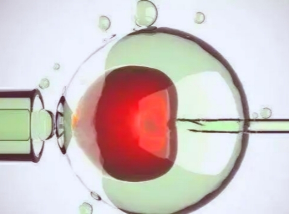 吉尔吉斯斯坦试管婴儿治疗后护理与心理支持