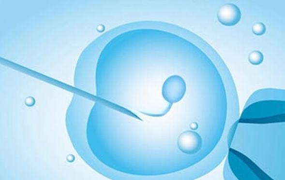 去美国做试管之前应该做好这4大准备！