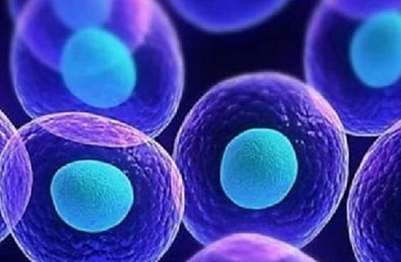 单身女性赴美试管助孕全攻略