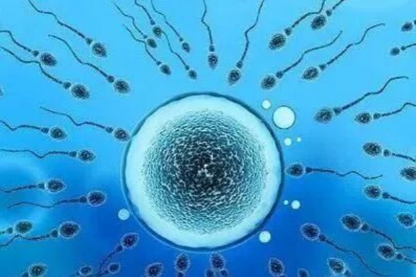 泰国千禧生殖中心：试管婴儿男性备孕全攻略