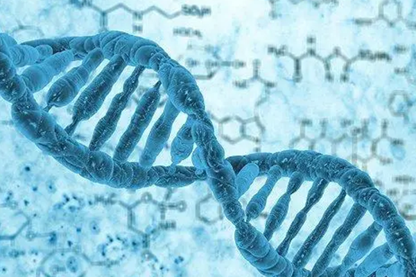 格鲁吉亚三代试管婴儿：精准筛查，优生优育