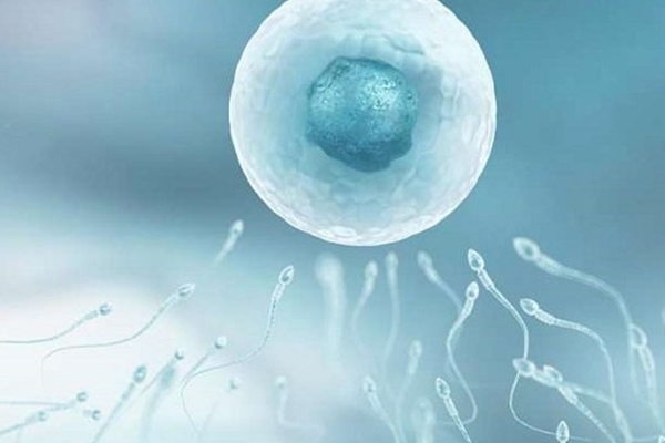 格鲁吉亚试管婴儿：单身女性的生育福音