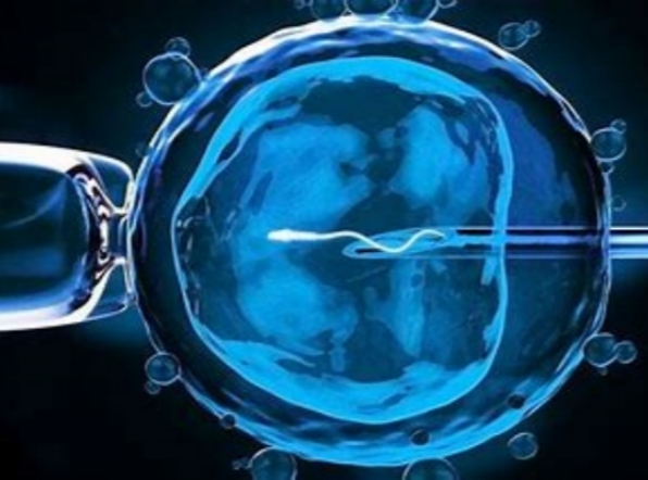 吉尔吉斯斯坦试管之旅：优质服务体验，让求子之路更温暖