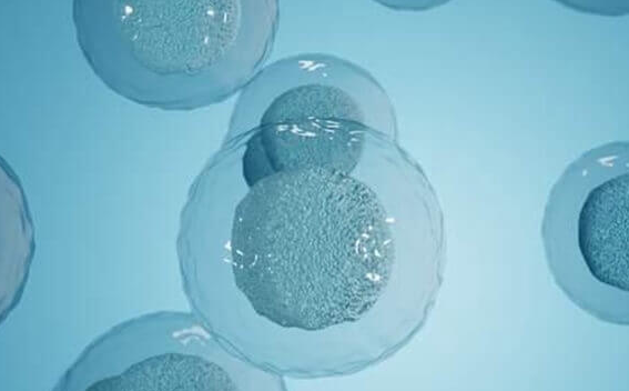 科学备孕：为新生命打造最佳起点