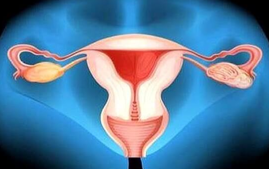 子宫内膜薄饮食禁忌：这4类食物千万别碰