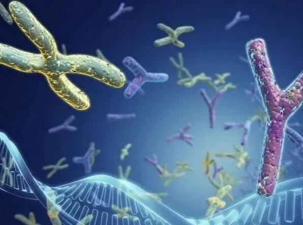 吉尔吉斯斯坦试管婴儿政策与法律环境：为患者保驾护航