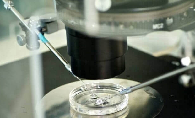 高龄女性适合的助孕技术：选一代还是三代试管？