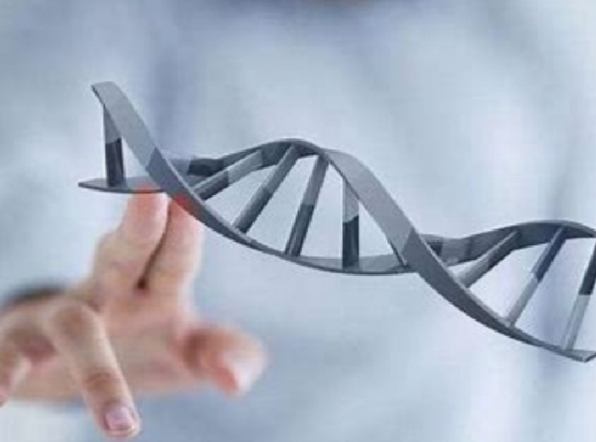 吉尔吉斯斯坦试管高成功率背后的科学解析与适用人群