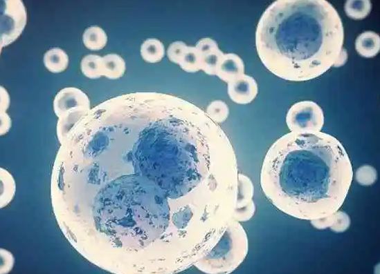 鲜胚移植后着床时间与成功征兆全解析