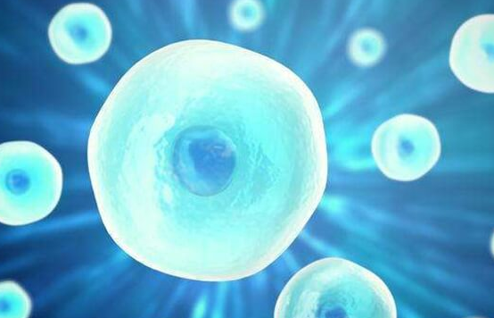 吉尔吉斯斯坦唐生殖医院：试管婴儿取卵多少容易成功，不是数量越多越好