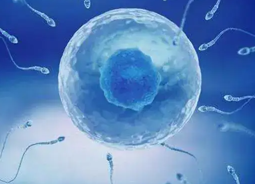 吉尔吉斯斯坦德尔塔（DELTA）：三代试管婴儿的适用条件，染色体畸变夫妻可尝试助孕
