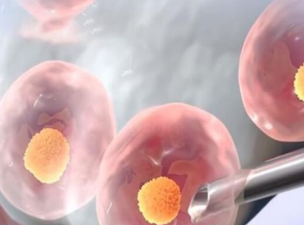 吉尔吉斯斯坦试管饮食调理与保胎指南