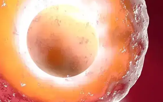 AMH值低≠无法试管婴儿，小于1ng/ml仍有希望