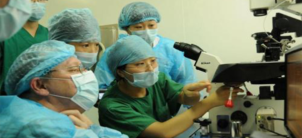 安徽省公立医院做试管婴儿医院和医生哪个成功率好一些?