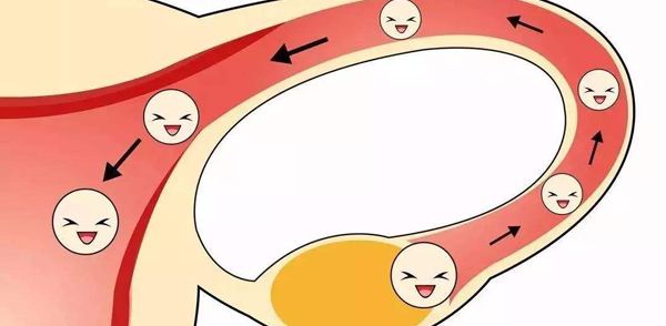 夜针打完后要注意避免卵巢扭转,这3种办法能帮上忙