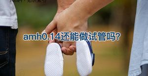 33岁amh0.14可以做试管婴儿怀孕吗?