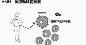 32岁AMH0.45做试管婴儿成功率高吗?