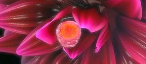 有月经就有排卵吗？闭经、绝经还能做试管婴儿吗？