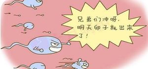 为什么医生说想要一次成功就得让精子等卵子？