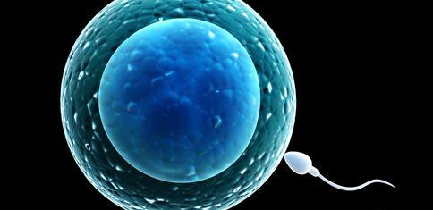 备孕二胎做试管取出的卵子不成熟能培养吗？